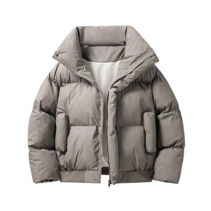 Men's Stand Collar Puffer Jacket in Grey - front view