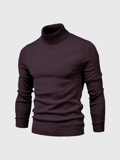 Men's Slim Fit Knit Turtleneck Sweater in Purple - front view